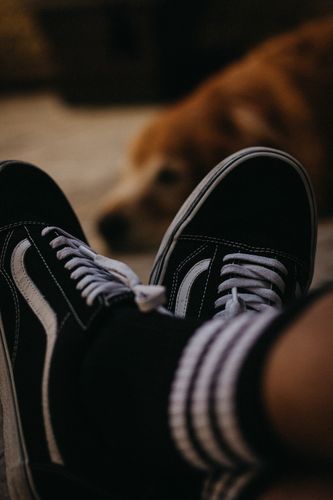 Baskets homme pas cher 7